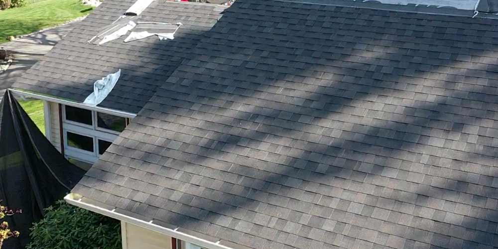 Green Collar Roofing & Exteriors Asphalt Shingle Roofers